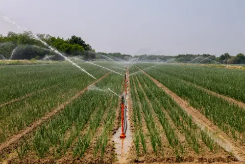 Costi irrigui, dalla Regione Umbria riduzione delle tariffe per l’agricoltura