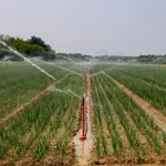 Costi irrigui, dalla Regione Umbria riduzione delle tariffe per l’agricoltura