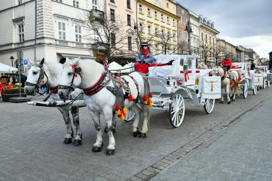 Spoleto-Assisi, torna il viaggio inclusivo in carrozza