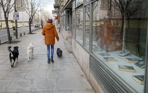 Gubbio, allerta per sospetto avvelenamento da esche in località Casamorcia