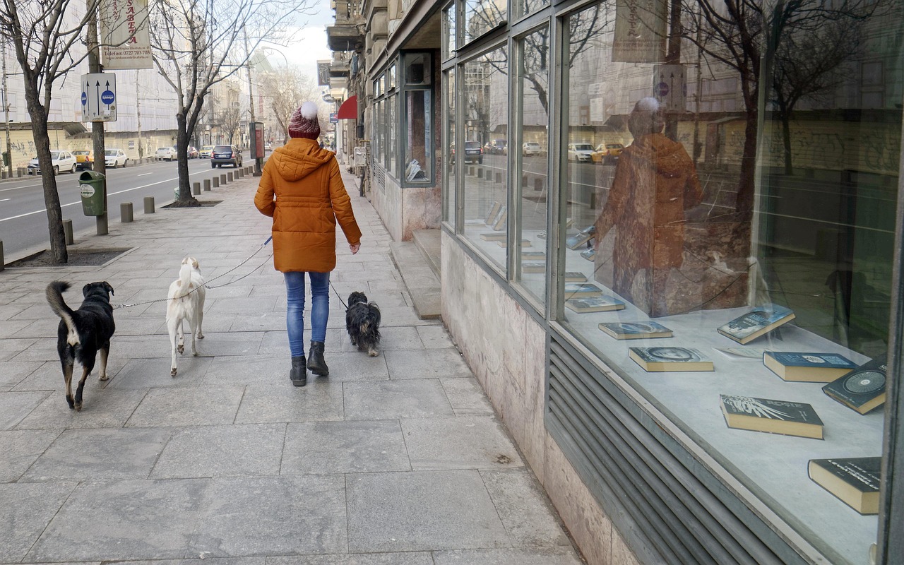 Gubbio, allerta per sospetto avvelenamento da esche in località Casamorcia