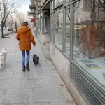 Gubbio, allerta per sospetto avvelenamento da esche in località Casamorcia